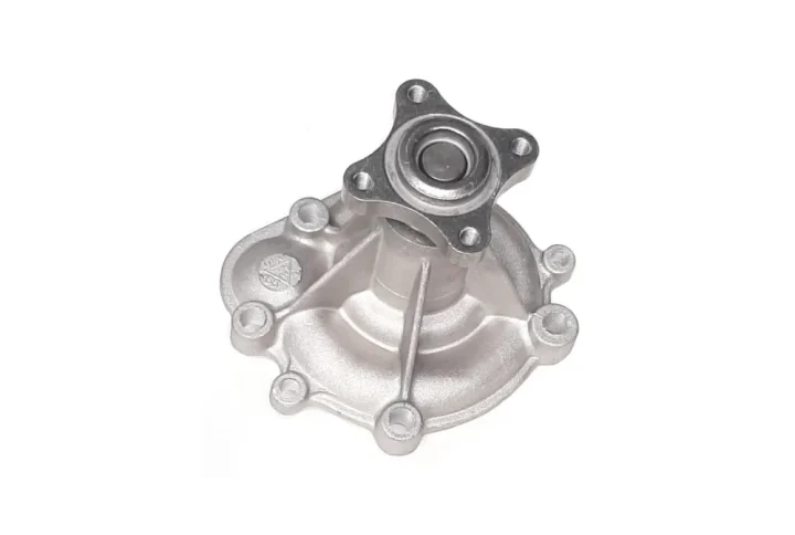 واتر پمپ پیکان پایاکارنو